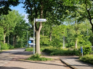 
                            <b>Wegwijzer naar parkeerplaats, dorpshuis de Ruyten en een vrachtwagen op de achtergrond.</b><br>
                                                        <b>ISO:</b> 50 | <b>Sluitertijd:</b> 1/887 | <b>Diafragma:</b> f/2.4 | <b>Datum:</b> 2025-05-30

                        
