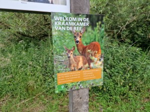 
                            <b>Welkom in de kraamkamer van de ree, infomatiebord bij wandelroute Ae's Woudbloem Duivelseiland</b><br>
                                                        <b>ISO:</b> 50 | <b>Sluitertijd:</b> 1/206 | <b>Diafragma:</b> f/1.8 | <b>Datum:</b> 2025-06-04

                        