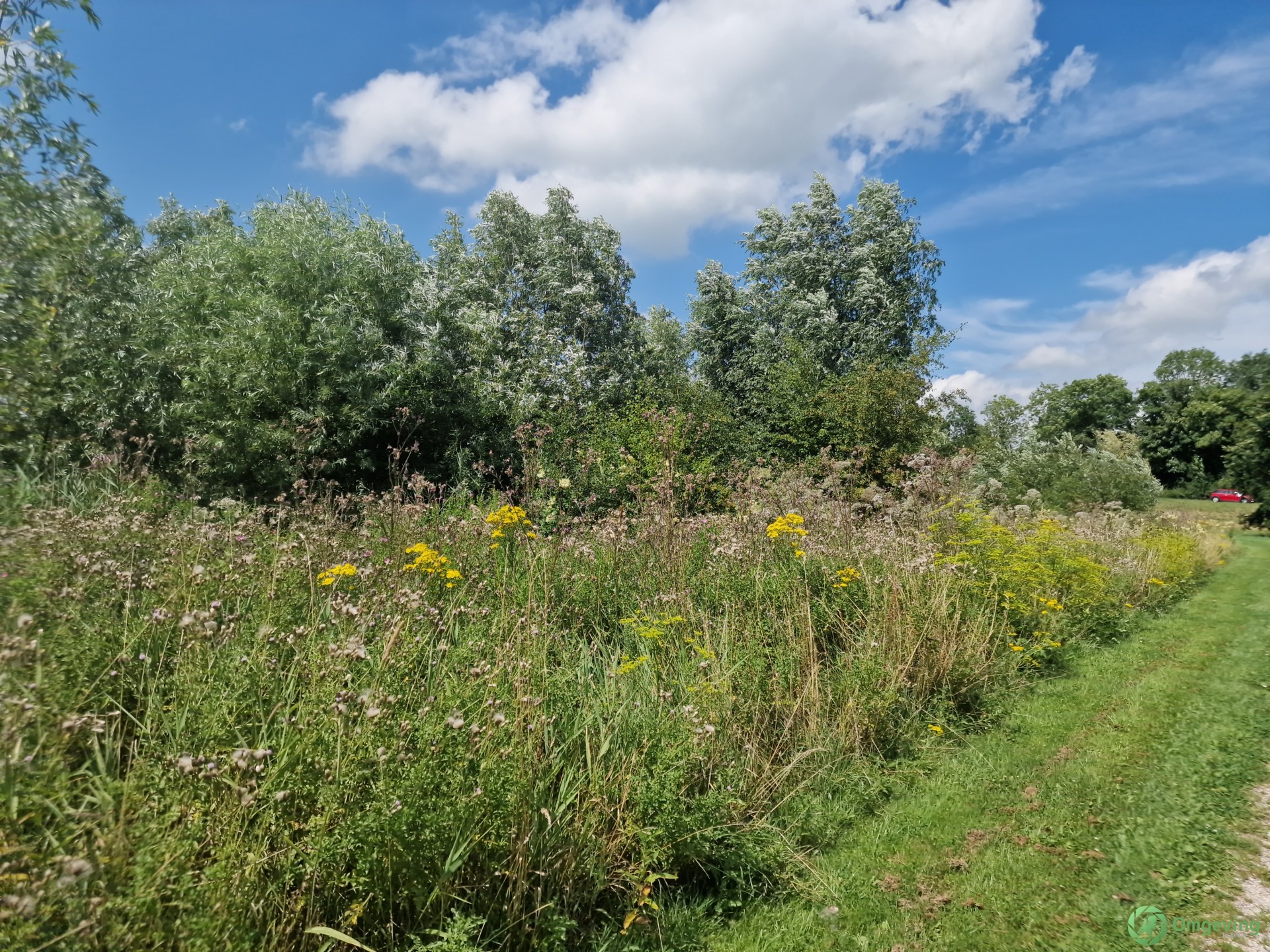 Foto van Het Hogeland