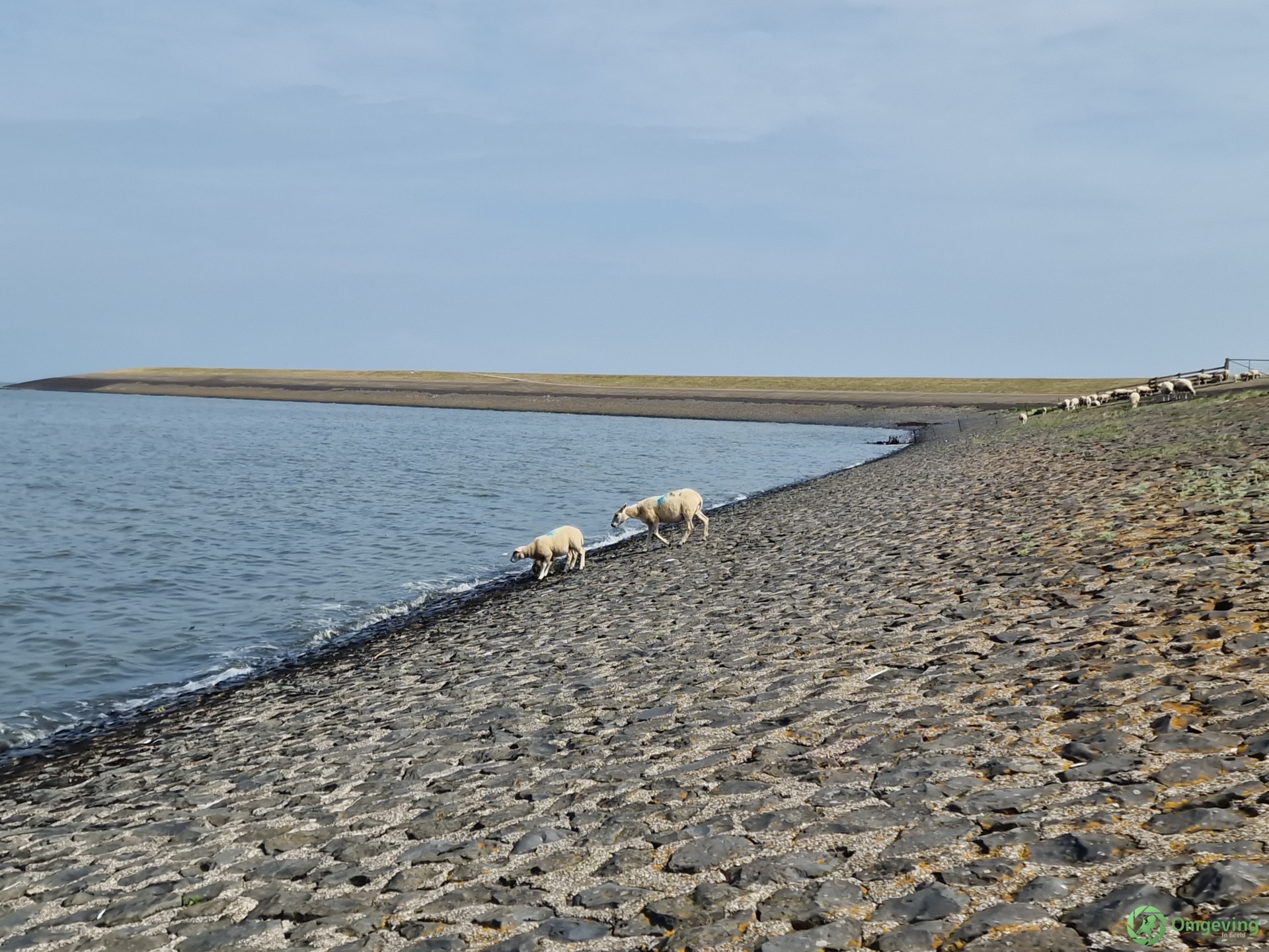 Foto van Súdwest-Fryslân