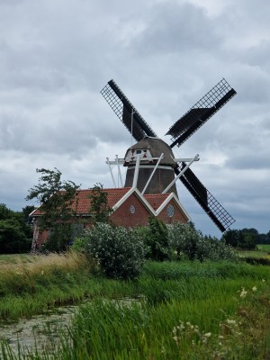 
                            <b>Molen van de Groote Polder met rood bakstenen gebouw en groene begroeiing.</b><br>
                                                        <b>ISO:</b> 50 | <b>Sluitertijd:</b> 1/3236 | <b>Diafragma:</b> f/2.4 | <b>Datum:</b> 2025-07-05

                        