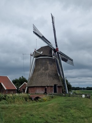 
                            <b>Molen van de Groote Polder met rieten dak en draaiende wieken op groene grasvlakte.</b><br>
                                                        <b>ISO:</b> 50 | <b>Sluitertijd:</b> 1/1786 | <b>Diafragma:</b> f/1.8 | <b>Datum:</b> 2025-07-05

                        