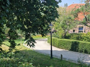 
                            <b>Kronkelig grindpad langs heg en lantaarnpaal, omgeven door groen.</b><br>
                                                        <b>ISO:</b> 50 | <b>Sluitertijd:</b> 1/1016 | <b>Diafragma:</b> f/2.4 | <b>Datum:</b> 2025-07-02

                        
