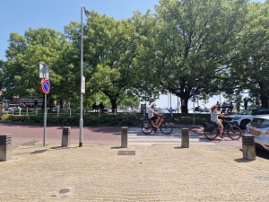 
                            <b>Twee fietsers rijden voorbij bomen en geparkeerde auto's op een zonnige dag.</b><br>
                                                        <b>ISO:</b> 50 | <b>Sluitertijd:</b> 1/902 | <b>Diafragma:</b> f/1.8 | <b>Datum:</b> 2025-07-02

                        