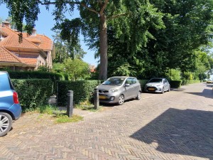 
                            <b>Drie auto's geparkeerd langs een straat met bomen en heg.</b><br>
                                                        <b>ISO:</b> 50 | <b>Sluitertijd:</b> 1/944 | <b>Diafragma:</b> f/2.2 | <b>Datum:</b> 2025-07-02

                        