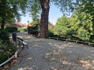 
                            <b>Boom met bankje langs grindpad bij vijver in groen park.</b><br>
                                                        <b>ISO:</b> 50 | <b>Sluitertijd:</b> 1/411 | <b>Diafragma:</b> f/1.8 | <b>Datum:</b> 2025-07-02

                        