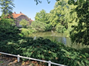 
                            <b>Vijver met fontein omringd door bomen en struiken voor een gebouw.</b><br>
                                                        <b>ISO:</b> 50 | <b>Sluitertijd:</b> 1/422 | <b>Diafragma:</b> f/1.8 | <b>Datum:</b> 2025-07-02

                        