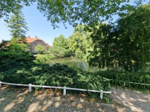 
                            <b>Vijver omringd door bomen en struiken, gebouw zichtbaar op achtergrond.</b><br>
                                                        <b>ISO:</b> 50 | <b>Sluitertijd:</b> 1/692 | <b>Diafragma:</b> f/2.2 | <b>Datum:</b> 2025-07-02

                        