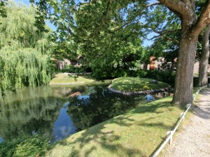 
                            <b>Boomrijke vijver met groen gras en schaduwrijke paden.</b><br>
                                                        <b>ISO:</b> 50 | <b>Sluitertijd:</b> 1/639 | <b>Diafragma:</b> f/2.2 | <b>Datum:</b> 2025-07-02

                        