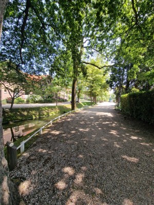 
                            <b>Snouck Van Loosenpark met groene bomen langs een smalle waterstroom.</b><br>
                                                        <b>ISO:</b> 50 | <b>Sluitertijd:</b> 1/336 | <b>Diafragma:</b> f/2.2 | <b>Datum:</b> 2025-07-02

                        