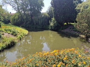
                            <b>Vijver met verschillende vissen zichtbaar vanuit bovenaanzicht.</b><br>
                                                        <b>ISO:</b> 50 | <b>Sluitertijd:</b> 1/645 | <b>Diafragma:</b> f/1.8 | <b>Datum:</b> 2025-07-02

                        