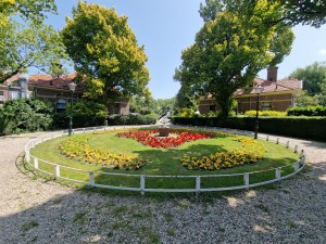 
                            <b>Bloementuin met geel en rood bloemen, Zonnewijzer en omgeven door hekwerk.</b><br>
                                                        <b>ISO:</b> 50 | <b>Sluitertijd:</b> 1/1337 | <b>Diafragma:</b> f/2.2 | <b>Datum:</b> 2025-07-02

                        