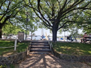 
                            <b>Trappen op de dijk met zeilboten aan de steiger en bomen.</b><br>
                                                        <b>ISO:</b> 50 | <b>Sluitertijd:</b> 1/718 | <b>Diafragma:</b> f/1.8 | <b>Datum:</b> 2025-07-02

                        