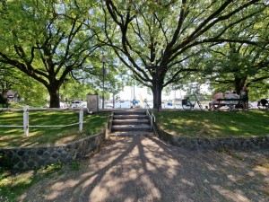 
                            <b>Trappen op de dijk met zeilboten aan de steiger en bomen.</b><br>
                                                        <b>ISO:</b> 50 | <b>Sluitertijd:</b> 1/814 | <b>Diafragma:</b> f/2.2 | <b>Datum:</b> 2025-07-02

                        