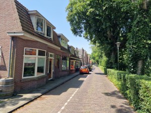 
                            <b>De Parklaan in Enkhuizen met geparkeerde auto's en rijtjeshuizen.</b><br>
                                                        <b>ISO:</b> 50 | <b>Sluitertijd:</b> 1/516 | <b>Diafragma:</b> f/1.8 | <b>Datum:</b> 2025-07-02

                        