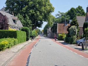 
                            <b>De westeinde met fietsstrook, huizen en een fietser aan de rechterkant.</b><br>
                                                        <b>ISO:</b> 50 | <b>Sluitertijd:</b> 1/2000 | <b>Diafragma:</b> f/2.4 | <b>Datum:</b> 2025-07-02

                        