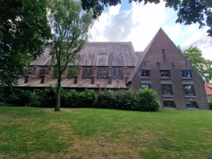 
                            <b>Johannes De Doperkerk met hoge daken en vele ramen.</b><br>
                                                        <b>ISO:</b> 50 | <b>Sluitertijd:</b> 1/499 | <b>Diafragma:</b> f/2.2 | <b>Datum:</b> 2025-06-29

                        