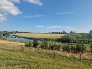 
                            <b>Weids landschap met grasvelden en kronkelende kanaal de Niers onder een blauwe lucht.</b><br>
                                                        <b>ISO:</b> 50 | <b>Sluitertijd:</b> 1/1379 | <b>Diafragma:</b> f/1.8 | <b>Datum:</b> 2025-06-29

                        