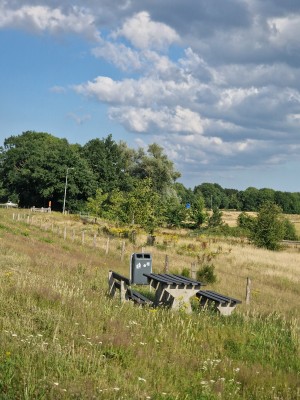 
                            <b>Picknicktafel in grasveld, omringd door bomen en bloemen.</b><br>
                                                        <b>ISO:</b> 50 | <b>Sluitertijd:</b> 1/2801 | <b>Diafragma:</b> f/2.4 | <b>Datum:</b> 2025-06-29

                        