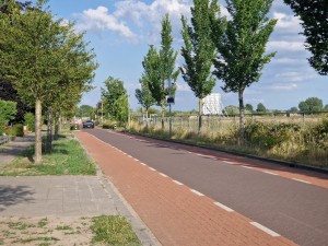 
                            <b>Verkeersweg met snelheidscamera langs groene bomen en fietspad.</b><br>
                                                        <b>ISO:</b> 50 | <b>Sluitertijd:</b> 1/2193 | <b>Diafragma:</b> f/2.4 | <b>Datum:</b> 2025-06-29

                        