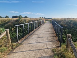 
                            <b>Betonnen brug met metalen leuningen over een groen graslandschap.</b><br>
                                                        <b>ISO:</b> 50 | <b>Sluitertijd:</b> 1/1081 | <b>Diafragma:</b> f/1.8 | <b>Datum:</b> 2025-06-29

                        