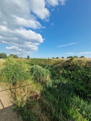 
                            <b>Weelderig groene vegetatie op heuvelachtig landschap onder blauwe lucht.</b><br>
                                                        <b>ISO:</b> 50 | <b>Sluitertijd:</b> 1/1808 | <b>Diafragma:</b> f/2.2 | <b>Datum:</b> 2025-06-29

                        