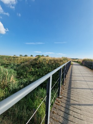 
                            <b>Stalen brugpad over grasland met nauw uitzicht op weelderige vegetatie.</b><br>
                                                        <b>ISO:</b> 50 | <b>Sluitertijd:</b> 1/1808 | <b>Diafragma:</b> f/2.2 | <b>Datum:</b> 2025-06-29

                        