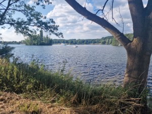 
                            <b>Bootjes varen op groot meer, omringd door bomen en rustige natuur.</b><br>
                                                        <b>ISO:</b> 50 | <b>Sluitertijd:</b> 1/912 | <b>Diafragma:</b> f/1.8 | <b>Datum:</b> 2025-06-29

                        