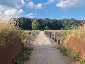 
                            <b>Smal pad met metalen leuningen, leidt door een natuurlijk landschap.</b><br>
                                                        <b>ISO:</b> 50 | <b>Sluitertijd:</b> 1/668 | <b>Diafragma:</b> f/1.8 | <b>Datum:</b> 2025-06-29

                        