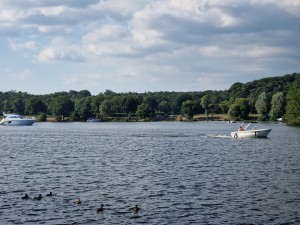 
                            <b>Motorboot vaart op meer, eenden zwemmen ervoor in het water.</b><br>
                                                        <b>ISO:</b> 50 | <b>Sluitertijd:</b> 1/2786 | <b>Diafragma:</b> f/2.4 | <b>Datum:</b> 2025-06-29

                        