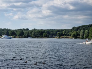 
                            <b>Boten en eenden op het meer met bosrijke achtergrond.</b><br>
                                                        <b>ISO:</b> 50 | <b>Sluitertijd:</b> 1/2786 | <b>Diafragma:</b> f/2.4 | <b>Datum:</b> 2025-06-29

                        