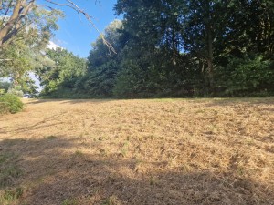 
                            <b>Droge, gele grasveld naast een groene bosrand.</b><br>
                                                        <b>ISO:</b> 50 | <b>Sluitertijd:</b> 1/419 | <b>Diafragma:</b> f/1.8 | <b>Datum:</b> 2025-06-29

                        