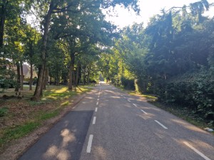 
                            <b>Lege landweg omgeven door bomen, met bospad ernaast.</b><br>
                                                        <b>ISO:</b> 50 | <b>Sluitertijd:</b> 1/199 | <b>Diafragma:</b> f/1.8 | <b>Datum:</b> 2025-06-29

                        