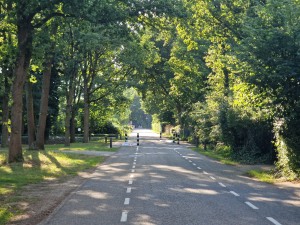 
                            <b>Lege weg omringd door bomen en groen.</b><br>
                                                        <b>ISO:</b> 50 | <b>Sluitertijd:</b> 1/237 | <b>Diafragma:</b> f/2.4 | <b>Datum:</b> 2025-06-29

                        