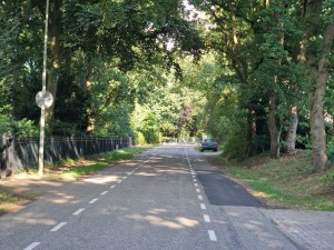 
                            <b>Landelijke weg omringd door bomen, met een geparkeerde auto rechts.</b><br>
                                                        <b>ISO:</b> 50 | <b>Sluitertijd:</b> 1/144 | <b>Diafragma:</b> f/2.4 | <b>Datum:</b> 2025-06-29

                        