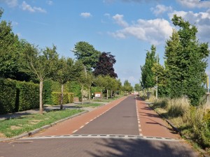 
                            <b>Lege straat met bomen aan weerszijden, rustige woonomgeving.</b><br>
                                                        <b>ISO:</b> 50 | <b>Sluitertijd:</b> 1/2604 | <b>Diafragma:</b> f/2.4 | <b>Datum:</b> 2025-06-29

                        