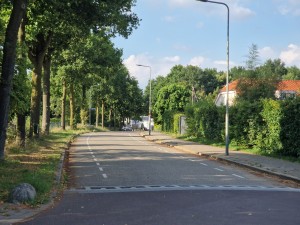 
                            <b>Lege straat met bomen en lantaarnpalen aan beide zijden.</b><br>
                                                        <b>ISO:</b> 50 | <b>Sluitertijd:</b> 1/1000 | <b>Diafragma:</b> f/2.4 | <b>Datum:</b> 2025-06-29

                        