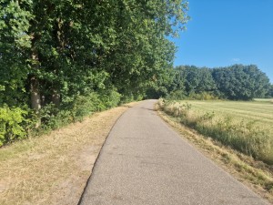 
                            <b>Geasfalteerd pad loopt door een groene, bosrijke omgeving met ernaast gras.</b><br>
                                                        <b>ISO:</b> 50 | <b>Sluitertijd:</b> 1/6024 | <b>Diafragma:</b> f/1.8 | <b>Datum:</b> 2025-06-29

                        