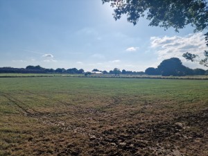 
                            <b>Uitgestrekt grasveld met bomen aan de horizon onder een blauwe hemel.</b><br>
                                                        <b>ISO:</b> 50 | <b>Sluitertijd:</b> 1/18519 | <b>Diafragma:</b> f/1.8 | <b>Datum:</b> 2025-06-29

                        