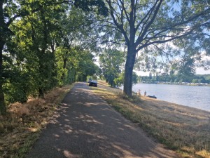 
                            <b>Pad langs kanaal met mensen bij water en auto op de weg.</b><br>
                                                        <b>ISO:</b> 50 | <b>Sluitertijd:</b> 1/370 | <b>Diafragma:</b> f/1.8 | <b>Datum:</b> 2025-06-29

                        