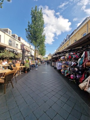 
                            <b>Winkelstraat met kraampjes, etende mensen, gezellig drukke sfeer.</b><br>
                                                        <b>ISO:</b> 50 | <b>Sluitertijd:</b> 1/1468 | <b>Diafragma:</b> f/2.2 | <b>Datum:</b> 2025-06-26

                        