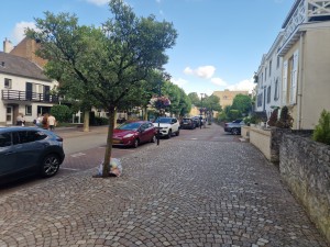 
                            <b>Parkeerplaats met auto's naast kasseien trottoir en bloeiende boom.</b><br>
                                                        <b>ISO:</b> 50 | <b>Sluitertijd:</b> 1/401 | <b>Diafragma:</b> f/1.8 | <b>Datum:</b> 2025-06-26

                        