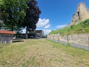 
                            <b>Oud kasteelruïne naast modern gebouw en houten schuurtje op grasveld.</b><br>
                                                        <b>ISO:</b> 50 | <b>Sluitertijd:</b> 1/2247 | <b>Diafragma:</b> f/2.2 | <b>Datum:</b> 2025-06-26

                        