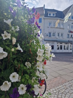 
                            <b>Kleurrijke bloemen op de voorgrond met gebouw en reclameborden op achtergrond.</b><br>
                                                        <b>ISO:</b> 50 | <b>Sluitertijd:</b> 243309/200000000 | <b>Diafragma:</b> f/1.8 | <b>Datum:</b> 2025-06-26

                        