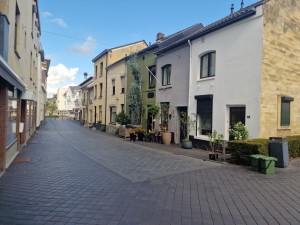 
                            <b>Smal straatje met kleurrijke huizen en bloembakken aan de voorgevels.</b><br>
                                                        <b>ISO:</b> 50 | <b>Sluitertijd:</b> 1/417 | <b>Diafragma:</b> f/1.8 | <b>Datum:</b> 2025-06-26

                        
