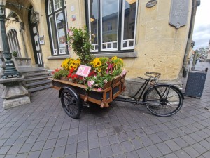 
                            <b>Bakfiets gevuld met kleurrijke bloemen voor historisch gebouw.</b><br>
                                                        <b>ISO:</b> 50 | <b>Sluitertijd:</b> 1/728 | <b>Diafragma:</b> f/2.2 | <b>Datum:</b> 2025-06-26

                        
