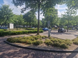 
                            <b>Parkeerplaats met enkele auto's omgeven door bomen en struiken.</b><br>
                                                        <b>ISO:</b> 50 | <b>Sluitertijd:</b> 1072961/1000000000 | <b>Diafragma:</b> f/1.8 | <b>Datum:</b> 2025-06-27

                        