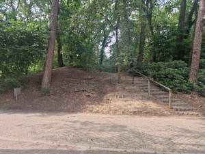 
                            <b>Trap en zandpad leiden naar bosrijke heuvel.</b><br>
                                                        <b>ISO:</b> 50 | <b>Sluitertijd:</b> 1111111/200000000 | <b>Diafragma:</b> f/1.8 | <b>Datum:</b> 2025-06-27

                        