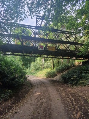 
                            <b>Houten brug met metalen structuur over een bospad.</b><br>
                                                        <b>ISO:</b> 50 | <b>Sluitertijd:</b> 1111111/200000000 | <b>Diafragma:</b> f/1.8 | <b>Datum:</b> 2025-06-27

                        