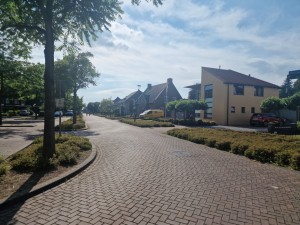
                            <b>Rustige straat met huizen en geparkeerde auto's.</b><br>
                                                        <b>ISO:</b> 50 | <b>Sluitertijd:</b> 1/18519 | <b>Diafragma:</b> f/1.8 | <b>Datum:</b> 2025-06-27

                        